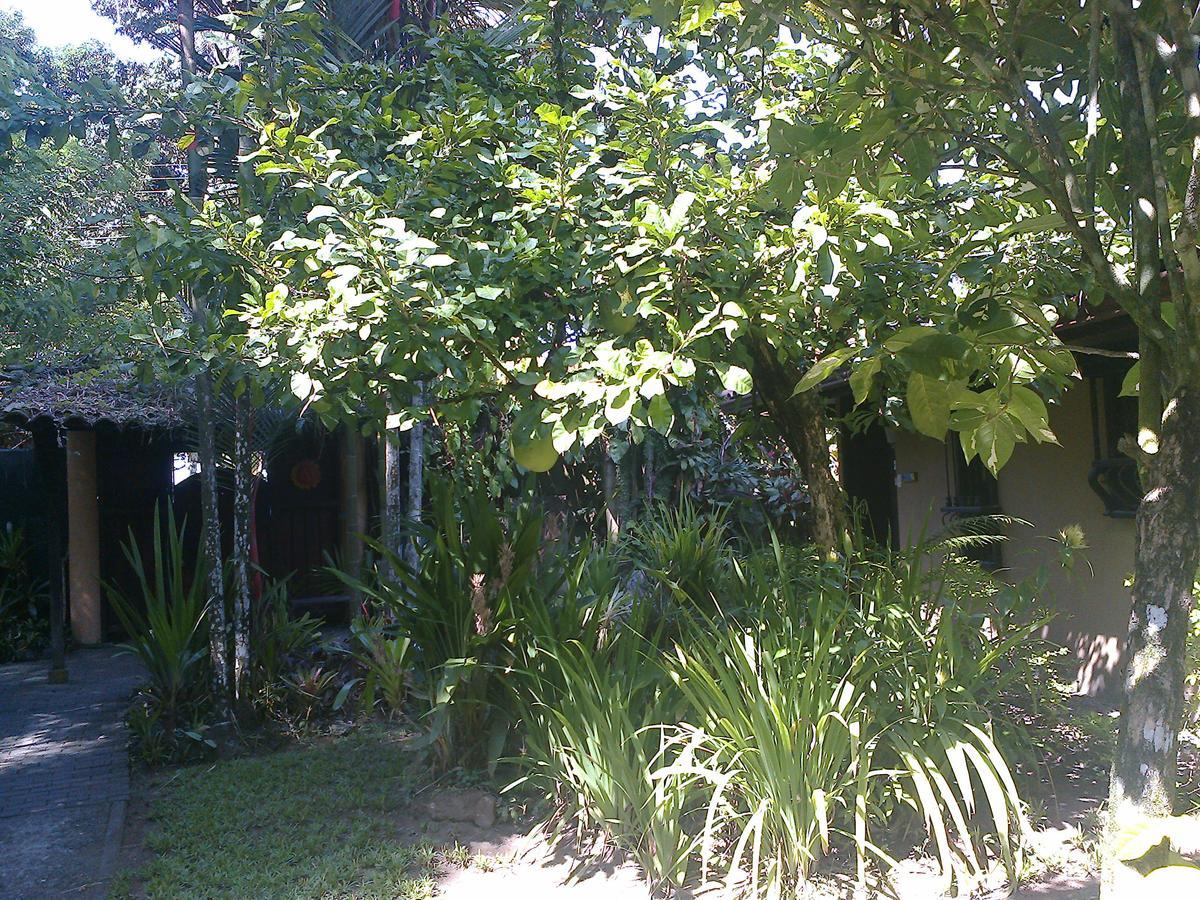 Playa Negra Guesthouse Cahuita Exterior foto